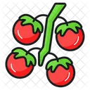 Tomato Tomatoes Bunch Icon