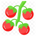 Tomato Tomatoes Bunch Icon
