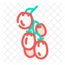 Tomato Branch  Icon