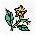 Tomato Flower  Icon