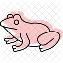 Tomato Frog Icon