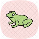 Tomato Frog Tomatofrog Amphibian Icon