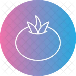 Tomato  Icon