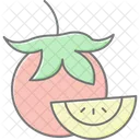 Tomato Lineal Color Icon Icon