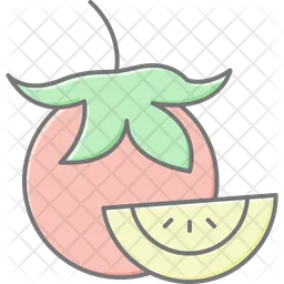 Tomato  Icon