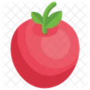 Tomato  Icon