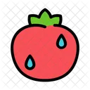 Tomato  Icon