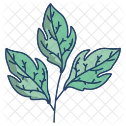 Tomato Leaf  Icon