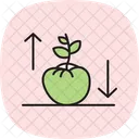 Tomato Plant Growth Tomato Plant Icon