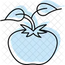 Tomato Plant Support Tomato Plant Icon