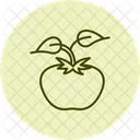 Tomato Plant Support Tomato Plant Icon