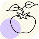 Tomato Plant Support Tomato Plant Icon