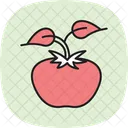 Tomato Plant Support Icon