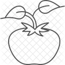 Tomato Plant Support Tomato Plant Icon