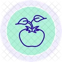 Tomato Plant Support Tomato Plant Icon