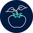 Tomato Plant Support Tomato Plant Icon