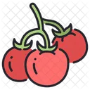 Tomatoes Farming Vegetable Icon