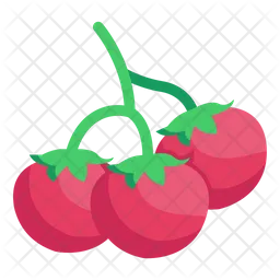 Tomatoes  Icon