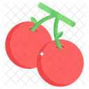 Tomatoes Fruit Farming Icon