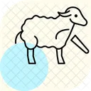 Tonte De Moutons Moutons Tonte Icon