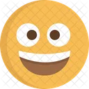 Tonto Emoji Emoticon Smiley Icono