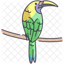 Toocan Emerald Cockatoo Icon