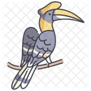 Toocan Greathorn Cockatoo Icon