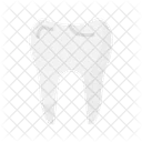 - tooth  Icon