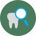Tooth Search Inspection Icon