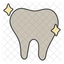 Tooth Dentology Stomatology Icon
