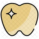 Tooth Dental Dentist Icon