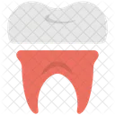 Tooth Dentistry Dentist Icon
