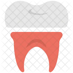 Tooth  Icon