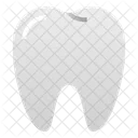 Tooth Molar Dental Icon