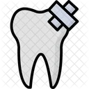 Tooth Molar Dental Care Icon