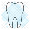 Tooth Healthy Dent Icon