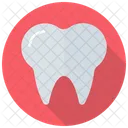 Stomatologist Tooth Caries Icon