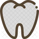 Tooth Medical Human Icon