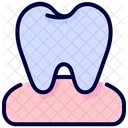 Tooth Gum Teeth Icon