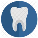 Tooth Health Stomatology Icon