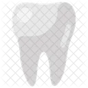 Tooth Dentistry Stomatology Icon