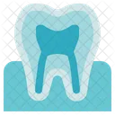 Organ Anatomy Tooth Gum Icon