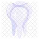 Tooth Healthy Tooth Human Tooth Icon