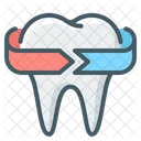 Tooth Dentistry Stomatology Icon