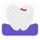 Tooth Health Medical Icon