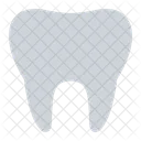 Tooth  Icon