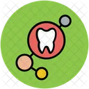 Tooth Dental Human Icon