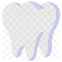 Tooth Body Dental Icon