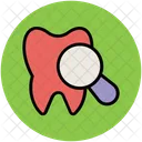 Tooth Dental Magnifier Icon