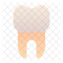 Tooth Teeth Dental Icon
